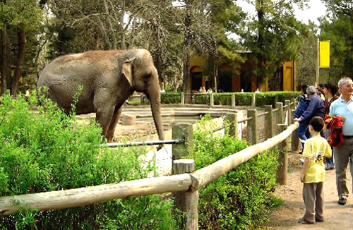 hoteles cerca del zoológico de córdoba