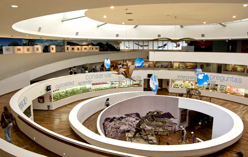 hoteles en córdoba, Museo Provincial de Ciencias Naturales de Córdoba