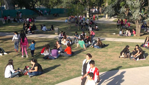 festejar la primavera en córdoba