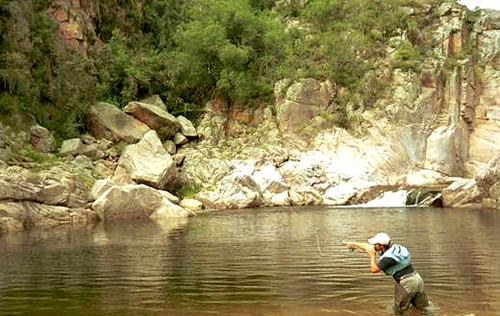 pesca deportiva en córdoba