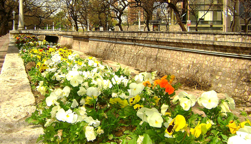 turismo en córdoba
