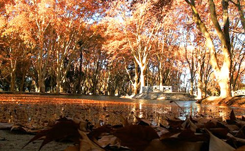 turismo en córdoba en otoño