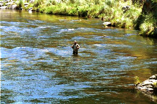 lugares de pesca deportiva córdoba