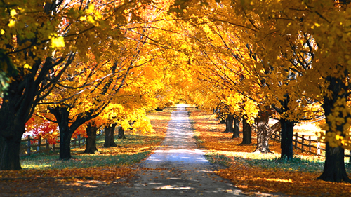 turismo de otoño en córdoba